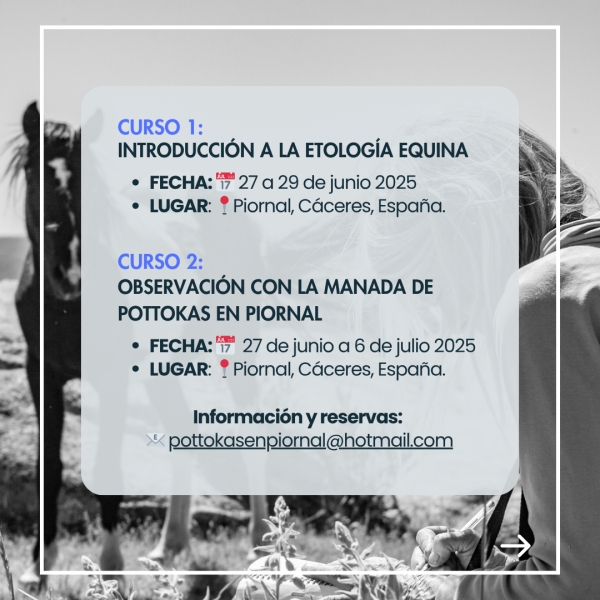 junio julio agosto 2 junio julio agosto 2